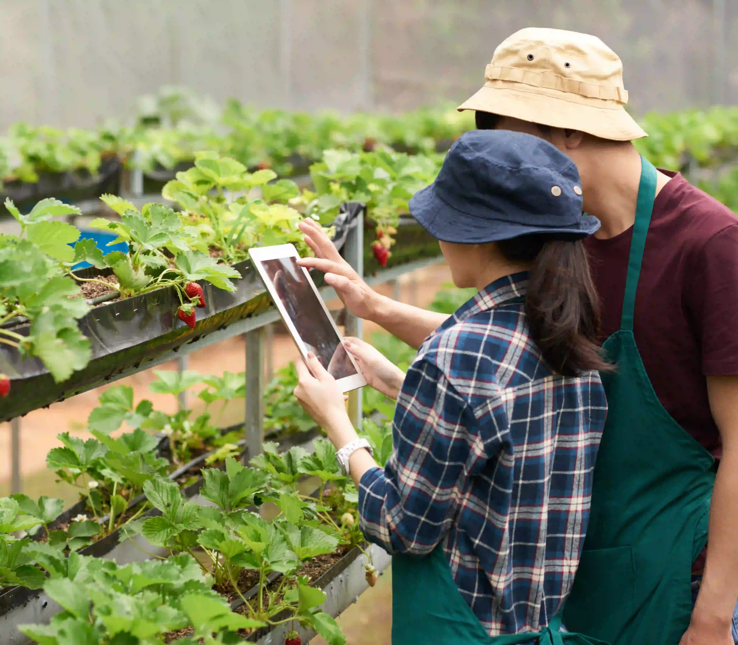 Smart Agriculture Mobile Platform Boosts Productivity and Collaboration on AWS