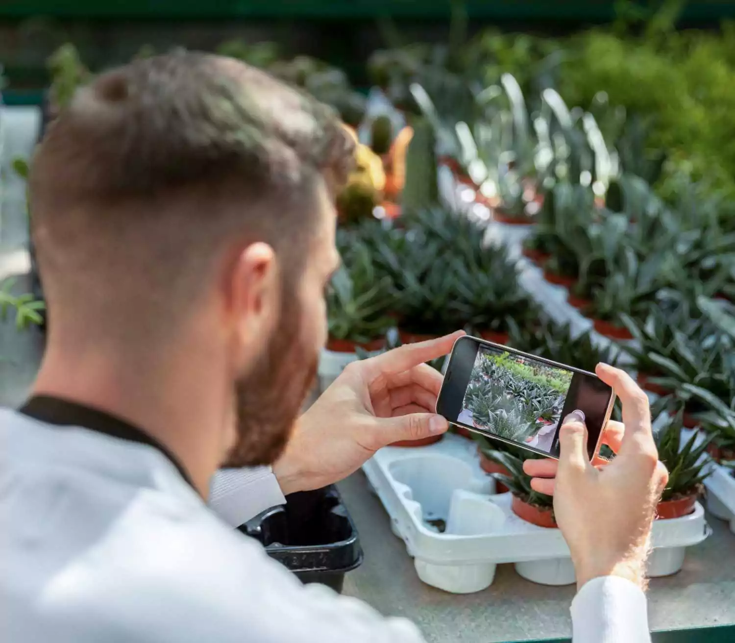 Advanced Weed Management System Increases Efficiency and Cuts Costs