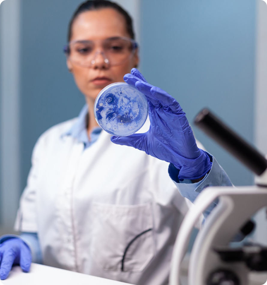 Scientist wearing a white lab coat, blue gloves, and safety glasses holding a petri dish with blue bacterial colonies, with a microscope in the foreground.