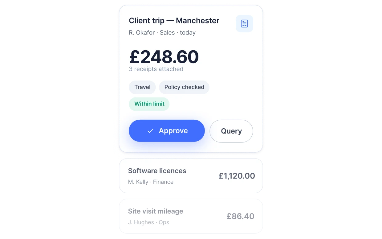 Expense approvals for Client trip Manchester £248.60, Software licences £1,120, Site visit mileage £86.40.