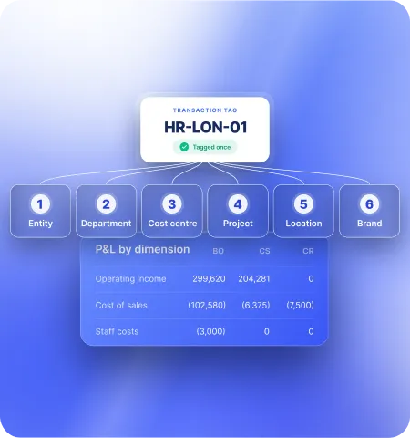 One transaction tagged once and reported across six dimensions, with a profit and loss statement broken down by dimension