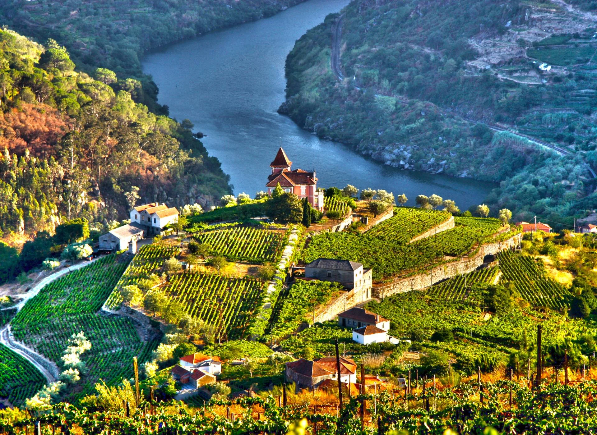 Douro Valley