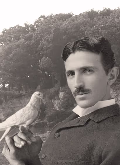 Nikola Tesla and Pigeons