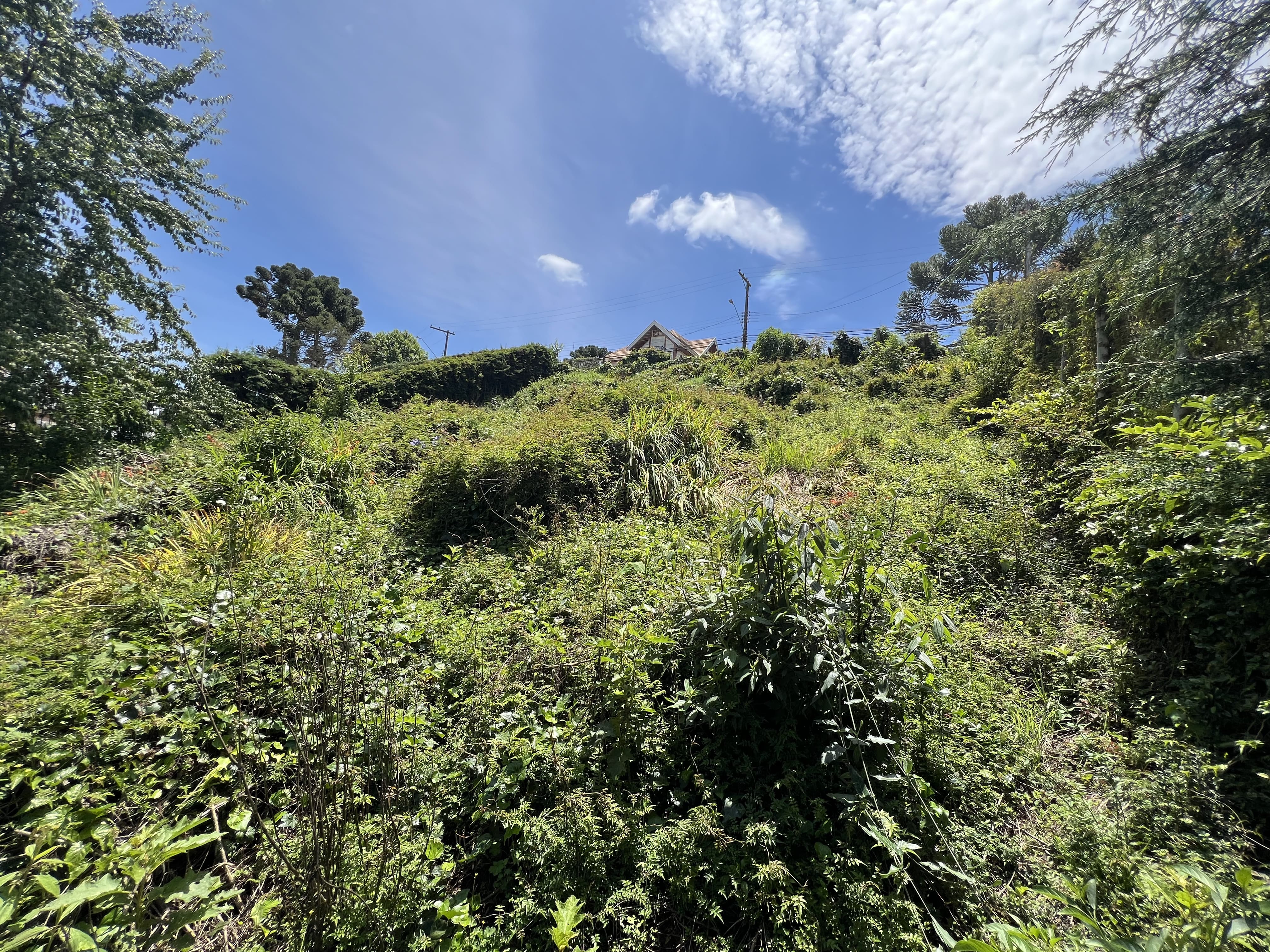 Terreno no alto da vila inglesa