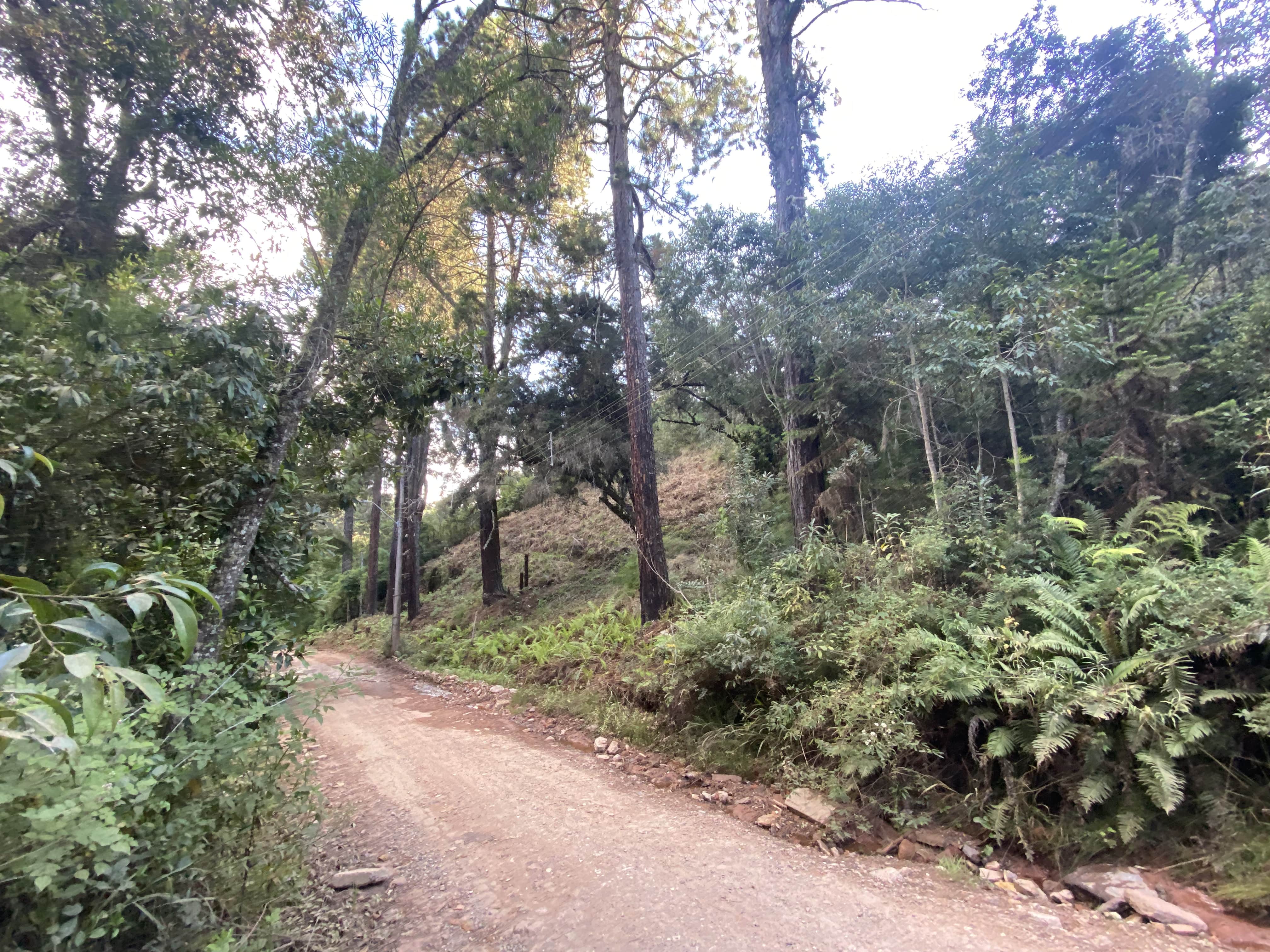 Terreno Alto da Boa Vista