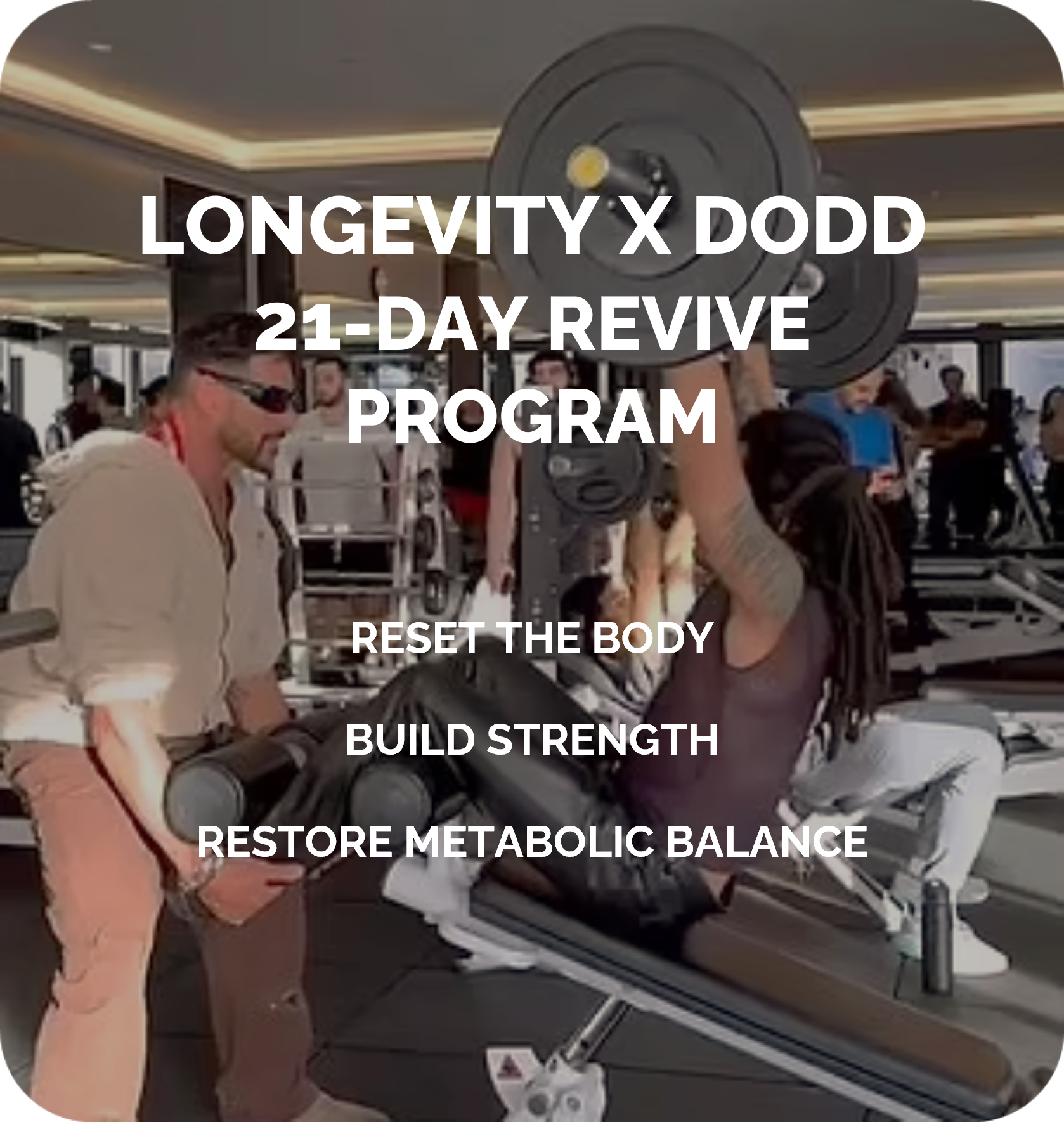 Longevity x Dodd 21-Day Revive Program