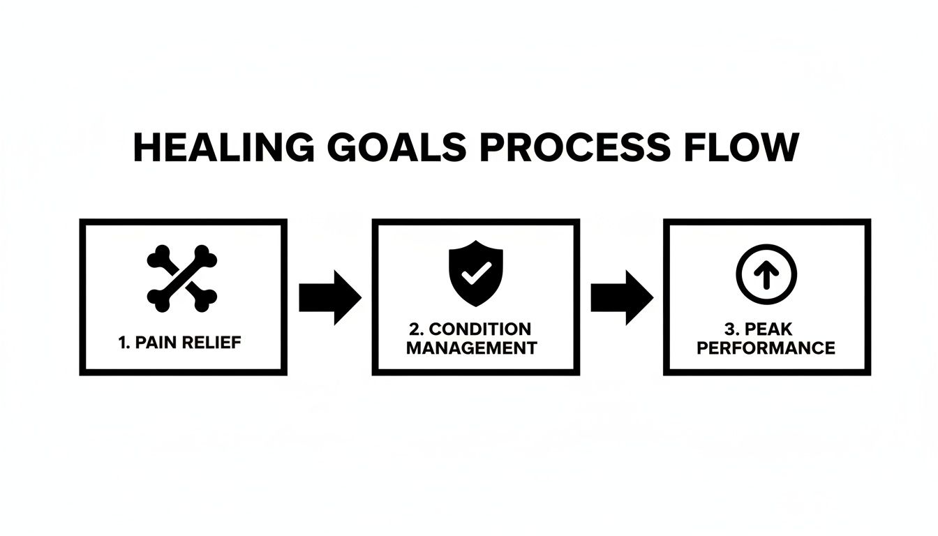 A healing goals process flow diagram with three steps: 1. Pain Relief (crossed bones icon), 2. Condition Management (shield icon), 3. Peak Performance (upward arrow icon).