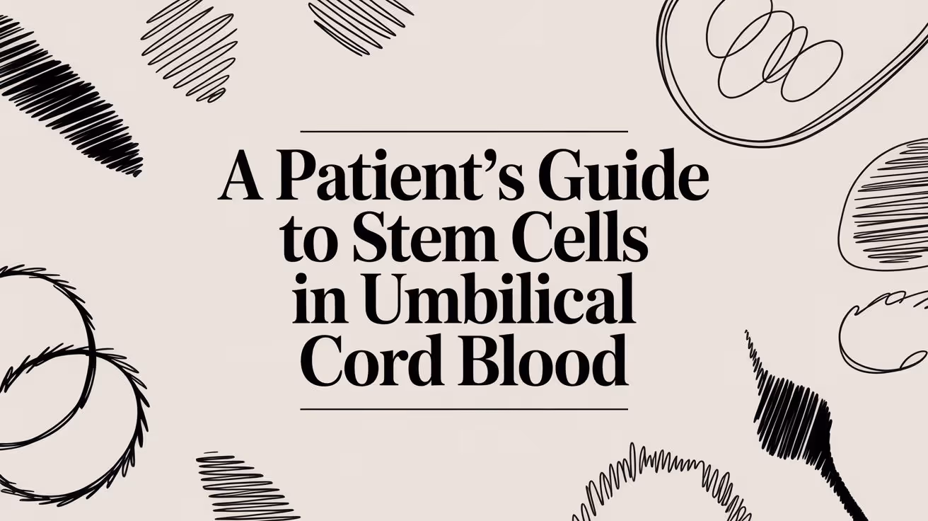 A Patient's Guide to Stem Cells in Umbilical Cord Blood