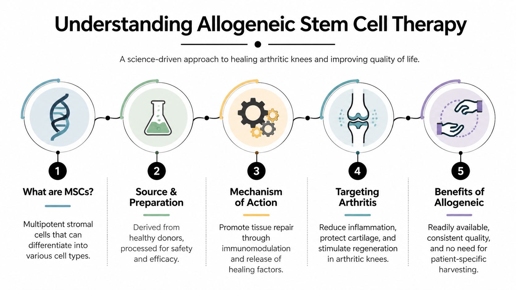 A five-step infographic explaining the process and benefits of allogeneic stem cell therapy for knee arthritis.