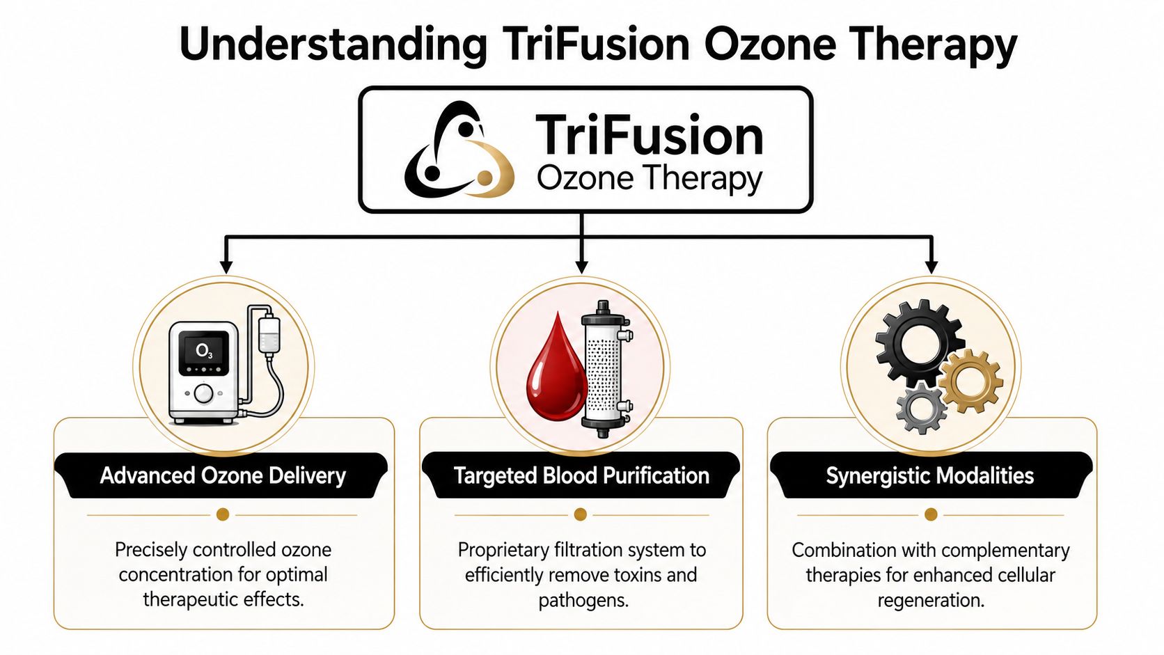 A diagram explaining the three key components of TriFusion Ozone Therapy, featuring ozone delivery, blood purification, and regeneration.