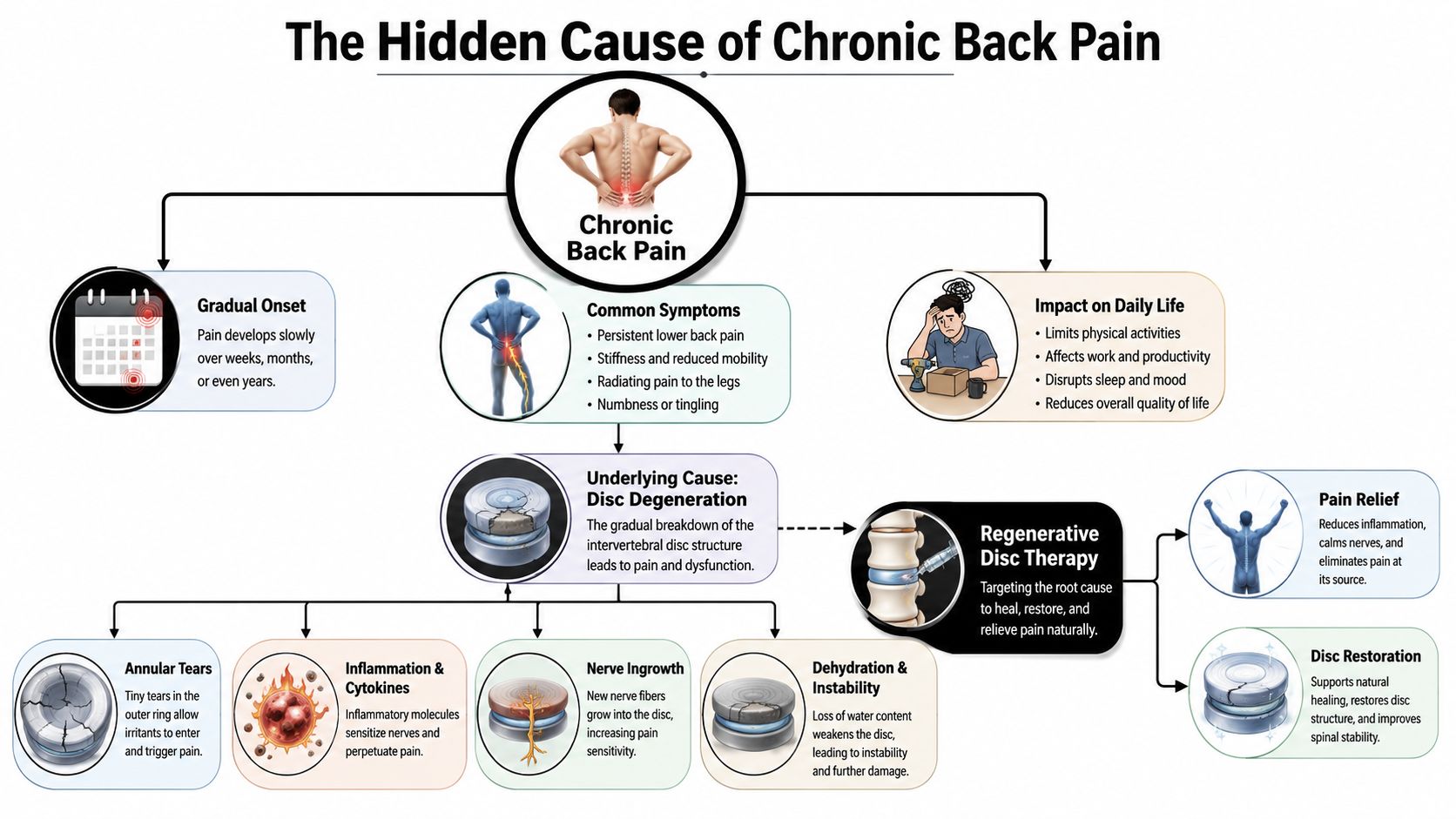 An infographic showing the causes, symptoms, and impact of chronic back pain and regenerative disc therapy.