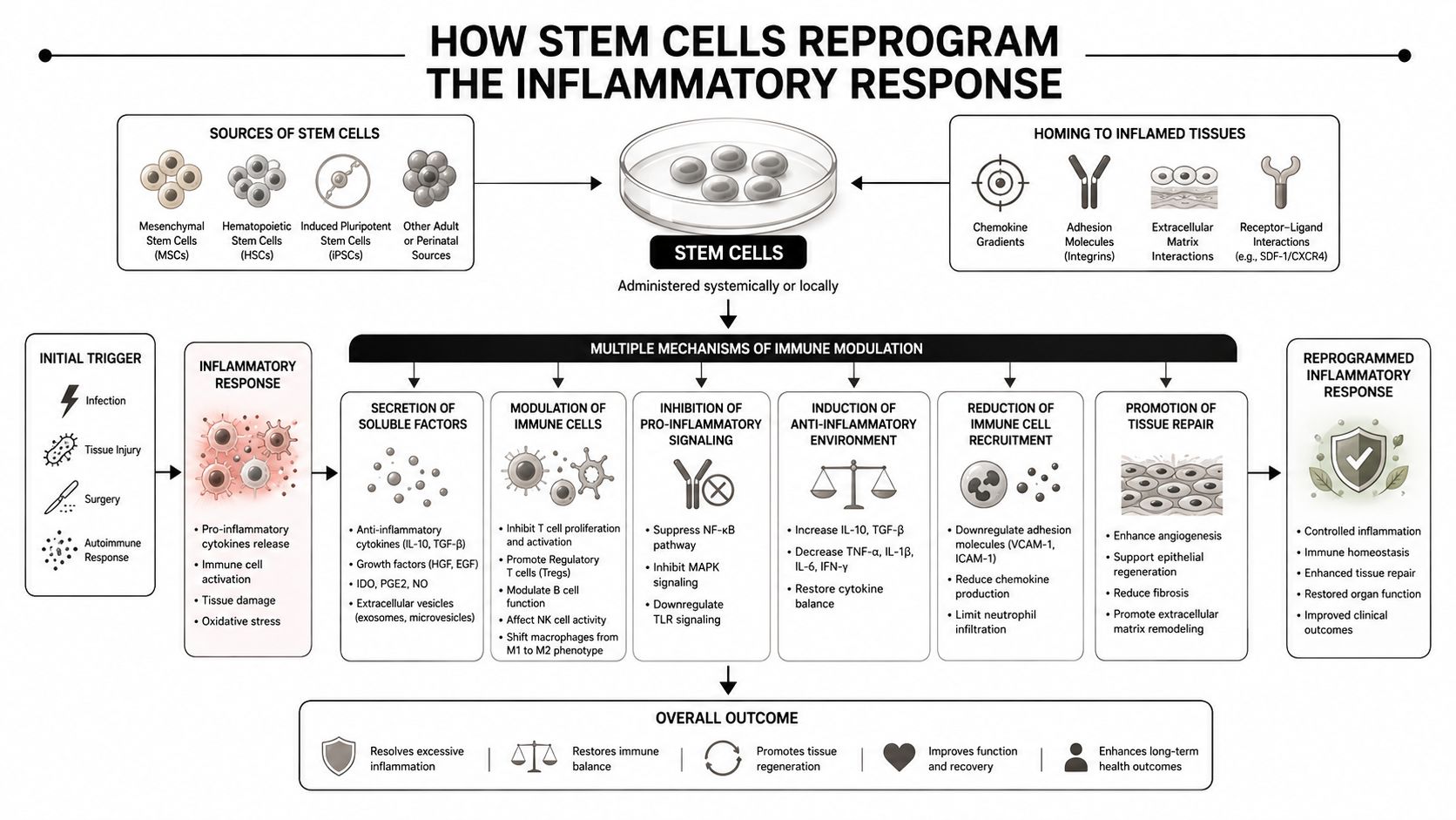 A diagram illustrating how various stem cells reprogram the inflammatory response to restore immune balance and tissue repair.