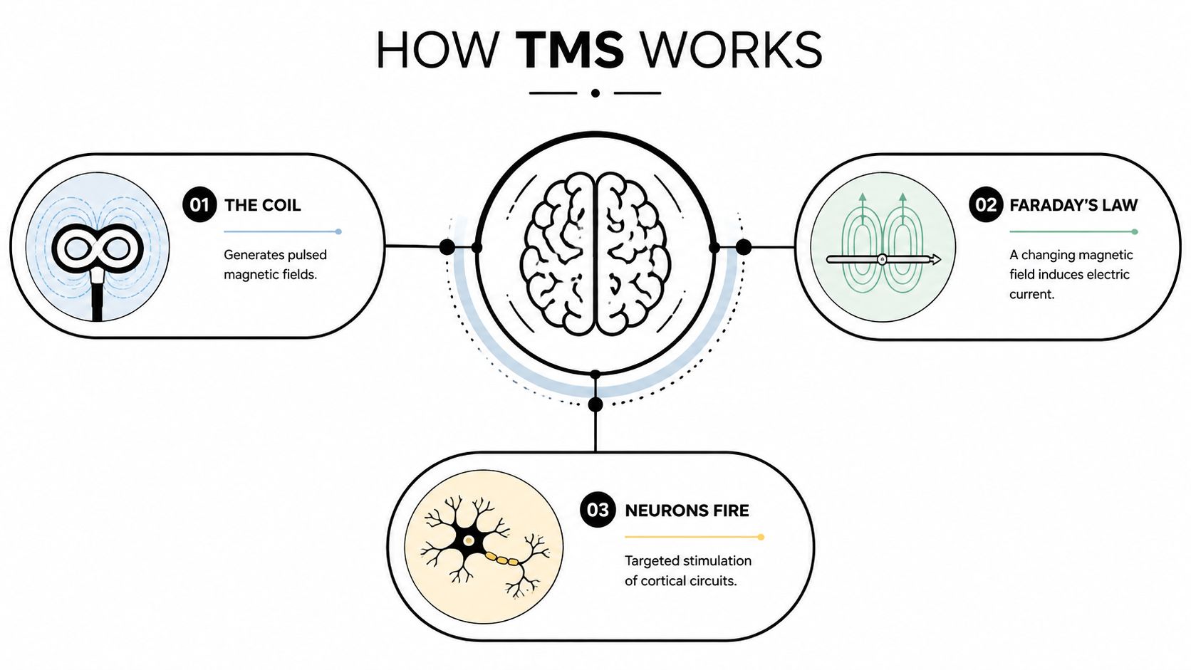 A diagram illustrating how Transcranial Magnetic Stimulation works through electromagnetic coils, Faraday's law, and neuronal activation.