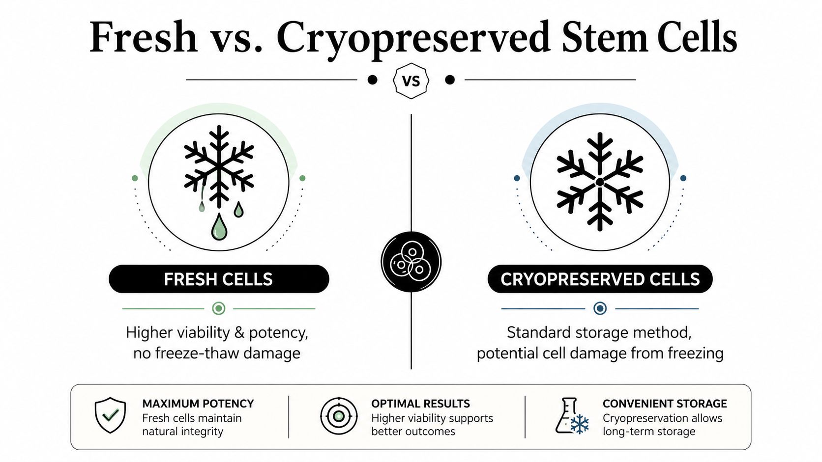 A comparison infographic showing the pros and cons of using fresh versus cryopreserved stem cells.