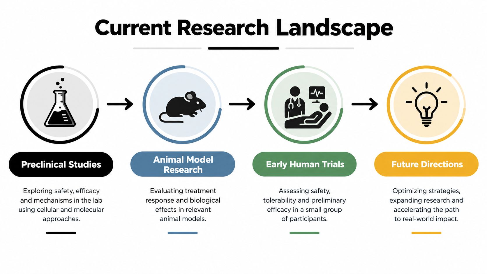 A four-step infographic illustrating the research pipeline from preclinical laboratory studies to future clinical directions.