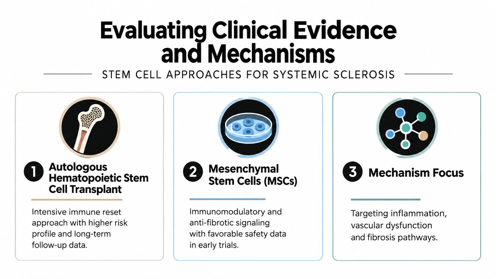 An infographic illustrating three approaches to stem cell therapy for treating systemic sclerosis, including transplant and mechanisms.