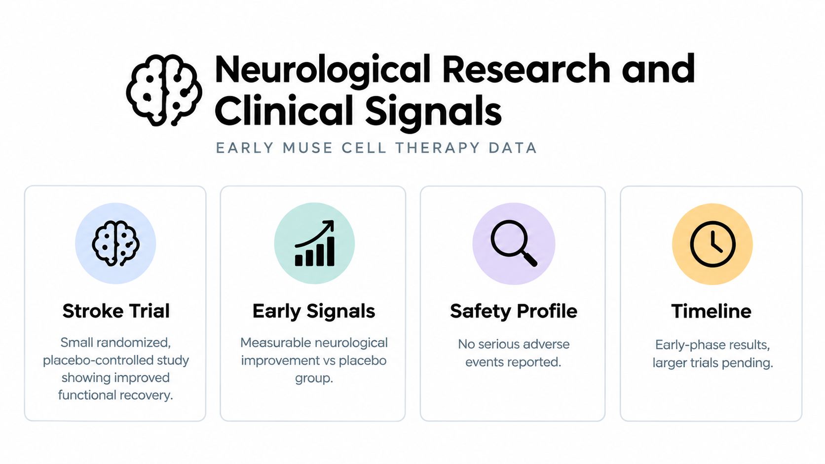 An infographic titled Neurological Research and Clinical Signals displaying early MUSE cell therapy data for stroke treatment.
