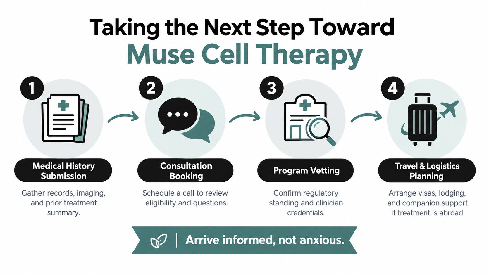 An infographic showing the four-step process for Muse Cell Therapy, from medical history submission to travel planning.