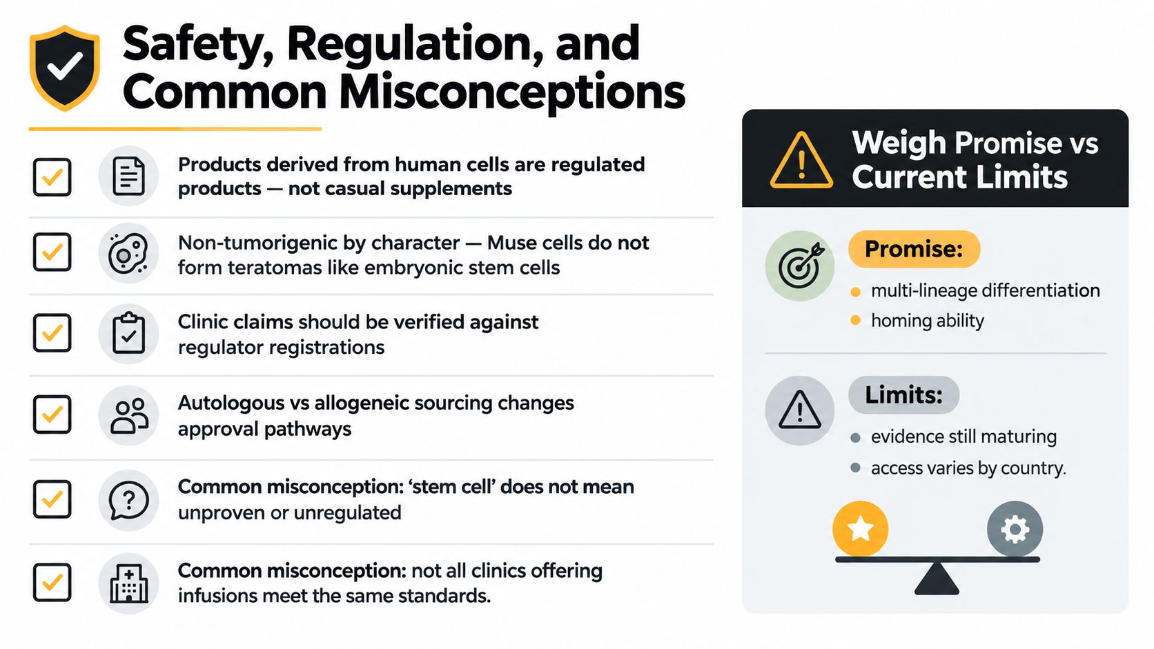 An infographic detailing safety, regulation, and common misconceptions regarding Muse cell therapy and its clinical application.