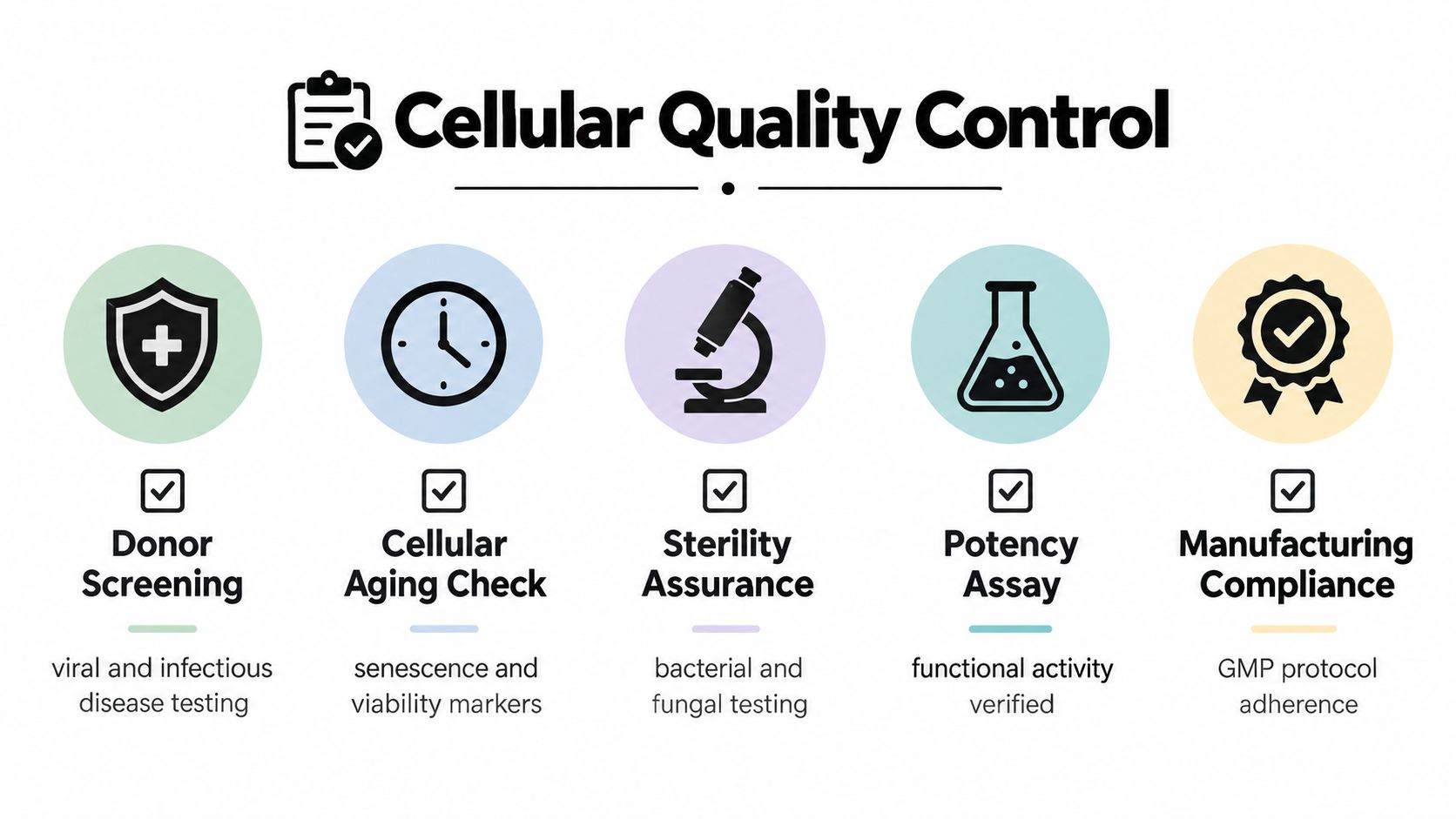 An infographic titled Cellular Quality Control illustrating five key testing processes for stem cell therapy safety.
