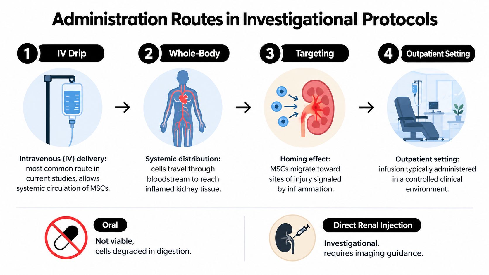 A diagram illustrating administration routes for stem cell therapy, focusing on IV delivery to treat kidney damage.