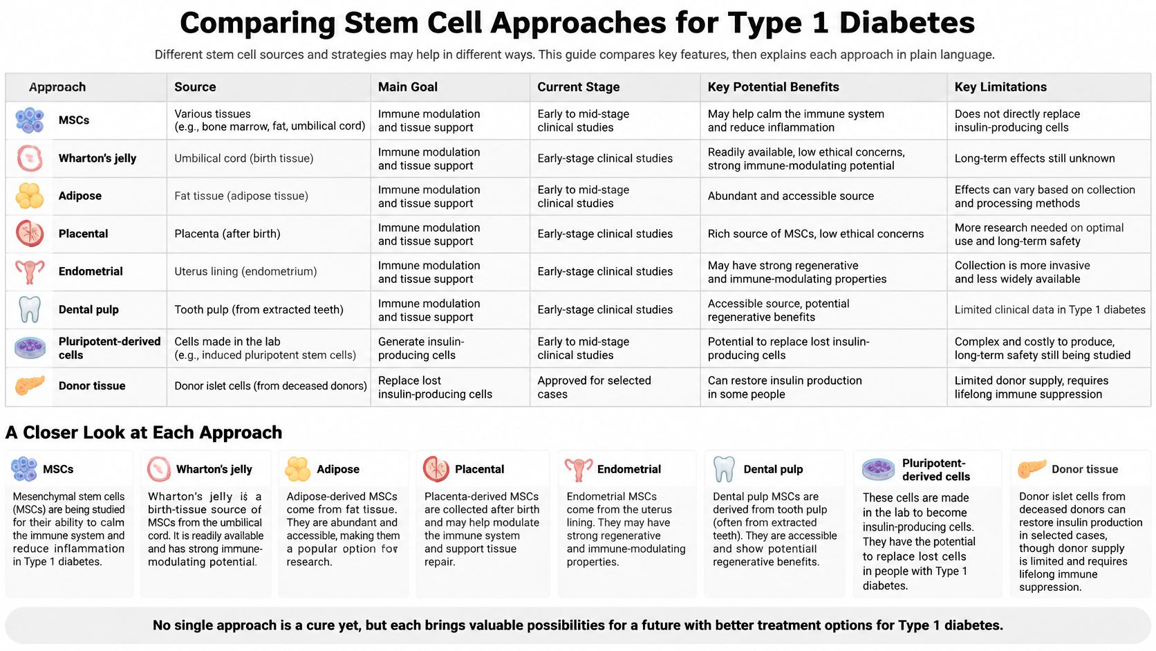 A comparison table outlining various stem cell approaches and their potential applications for treating Type 1 diabetes.