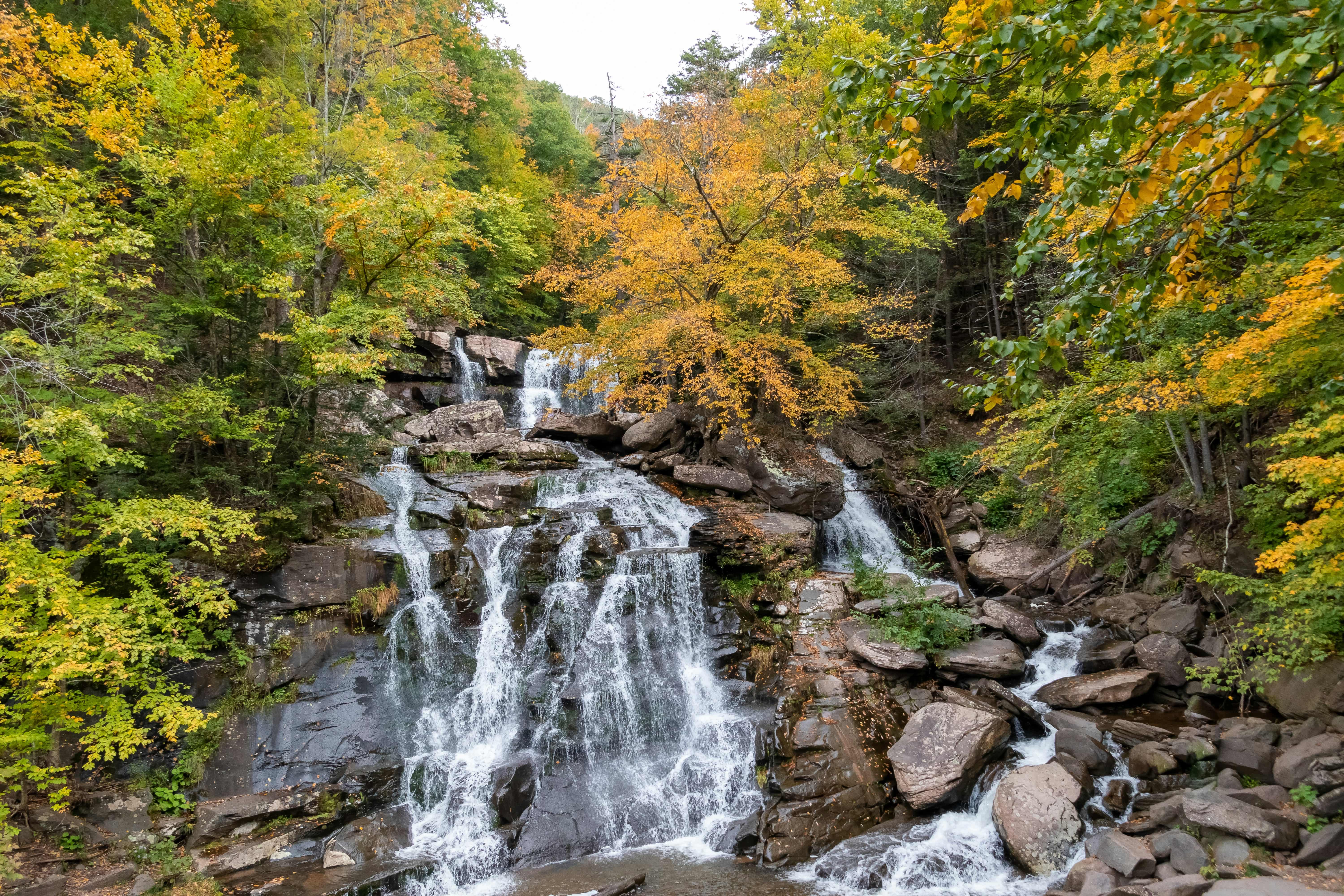 Discover the Serenity of Catskills Camping