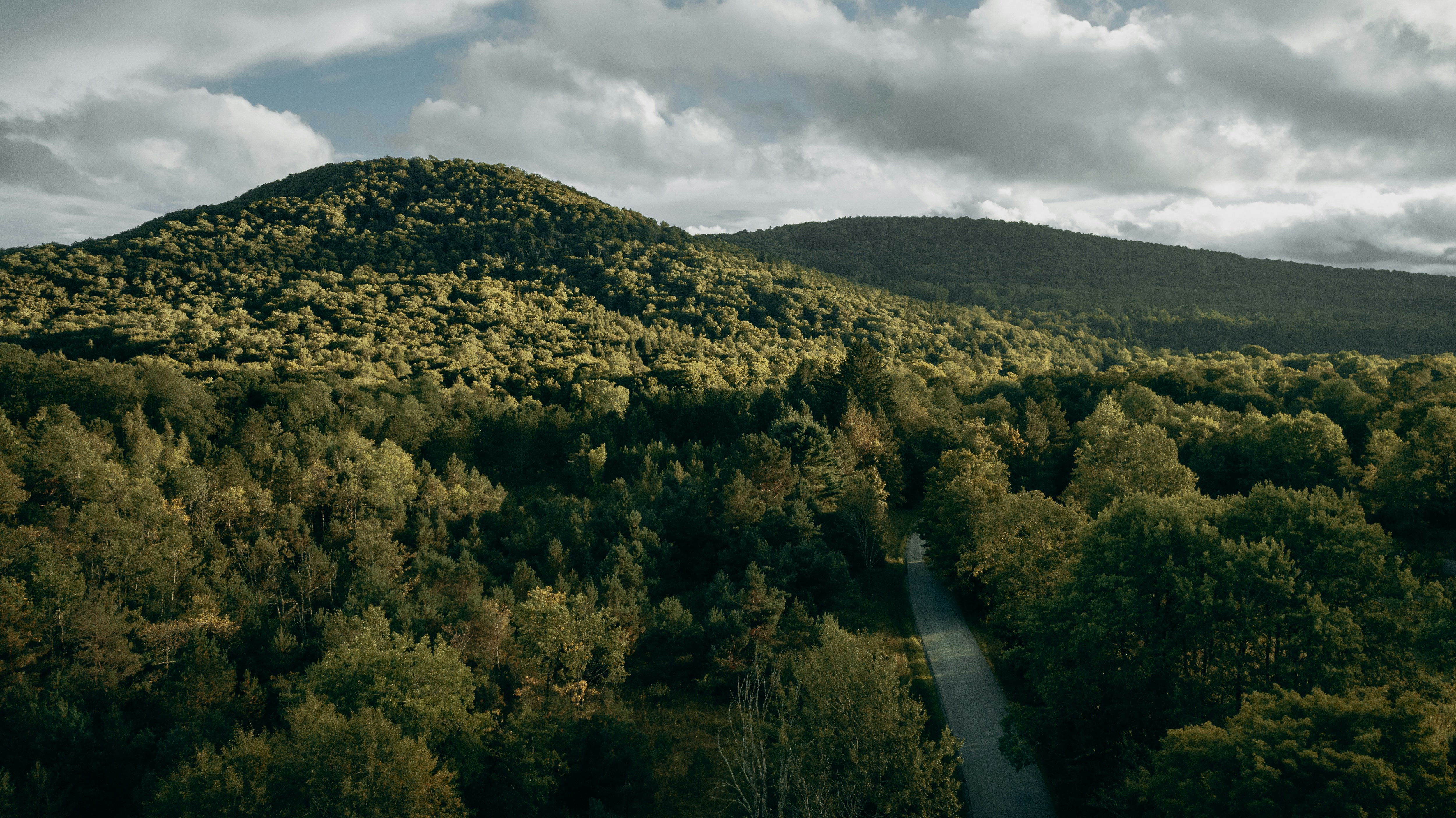 Summer in the Catskills Complete Guide