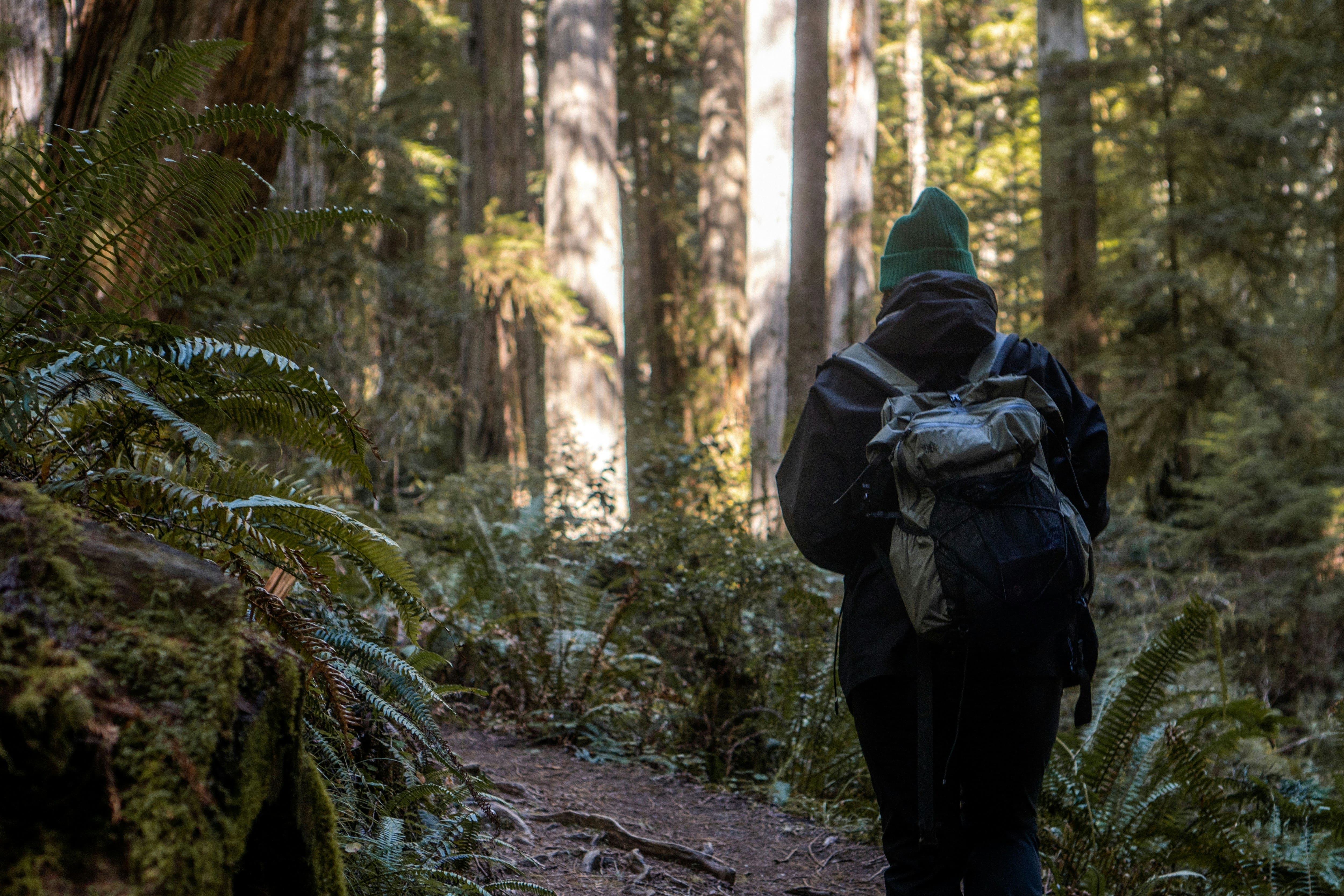 Best Hiking Trails in the Catskill Mountains for Every Adventurer
