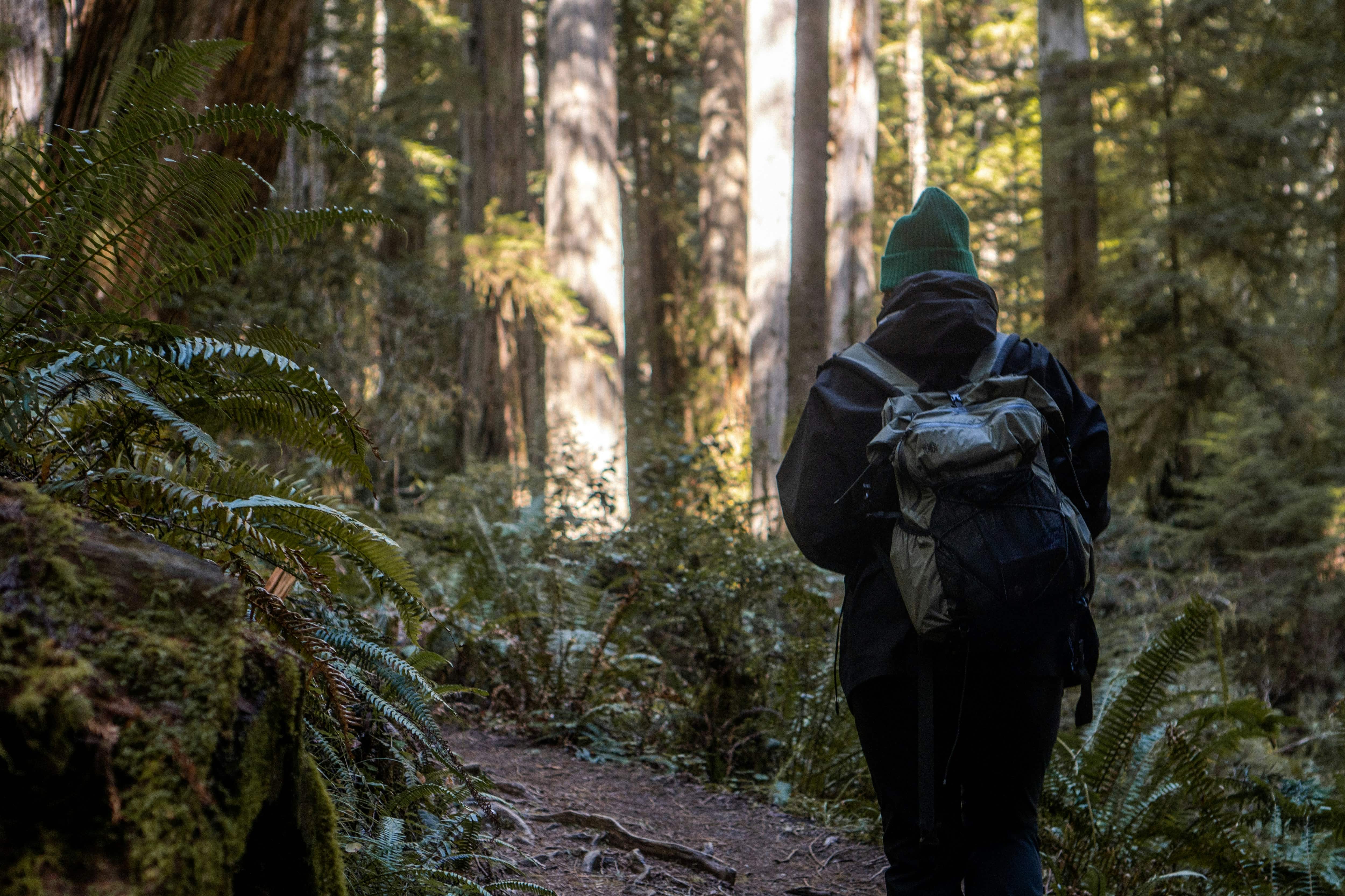 Best Hiking Trails in the Catskill Mountains for Every Adventurer