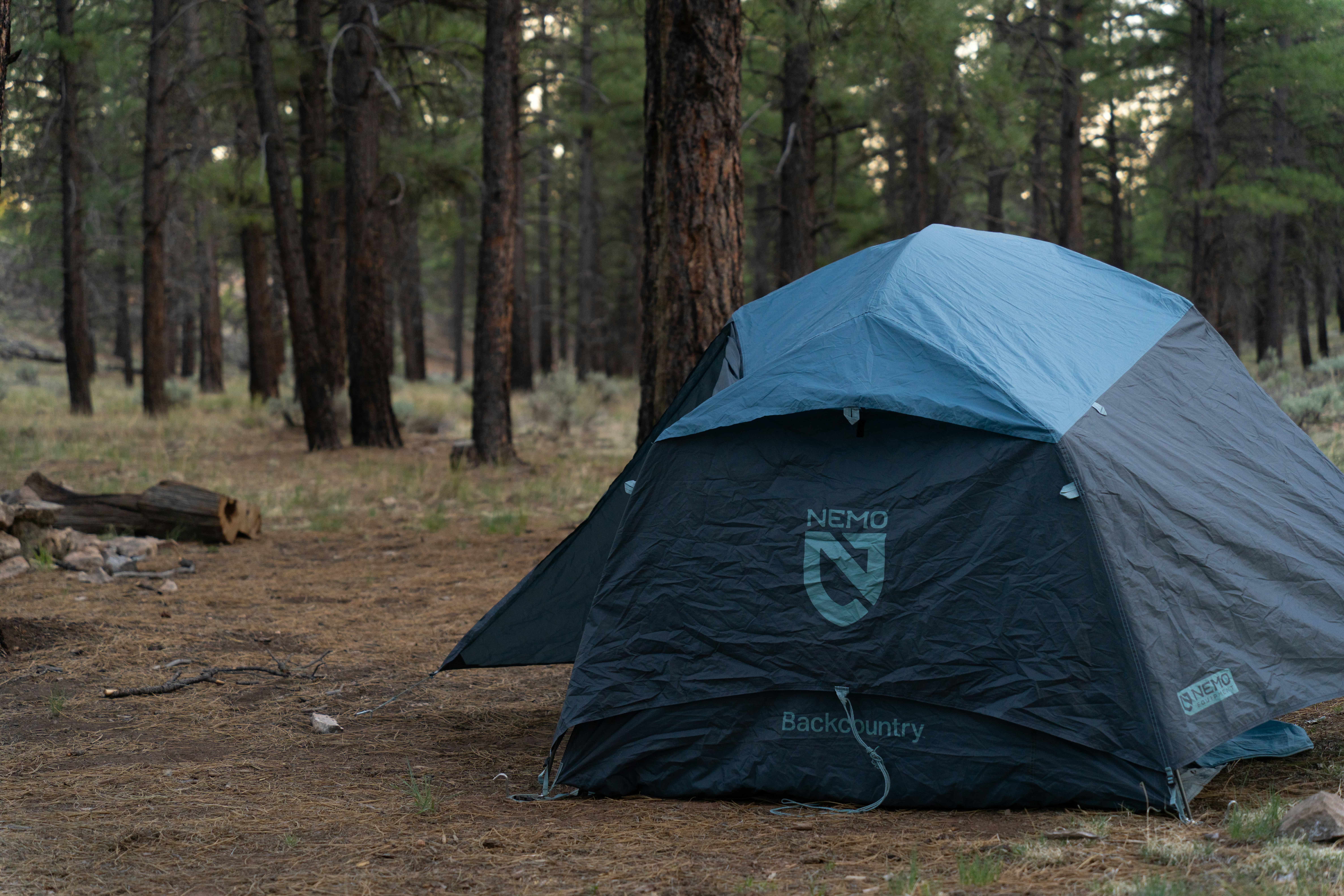 Forest Campgrounds: Everything You Should Know