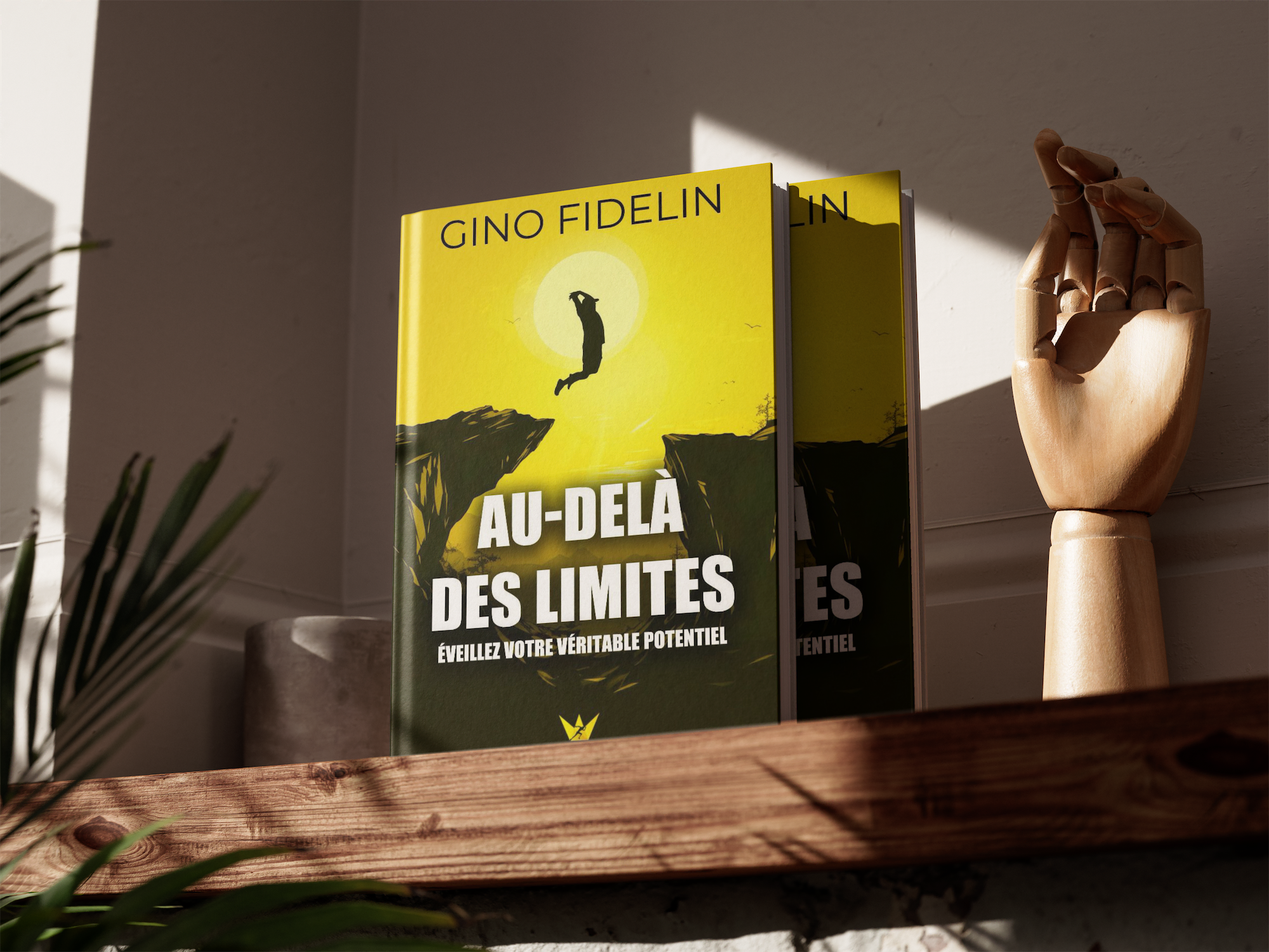 image_livre_gino