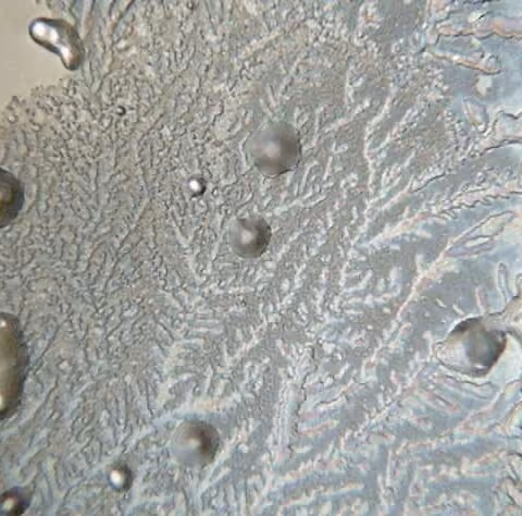 foto van natuurlijk gezond berg water uit de natuur