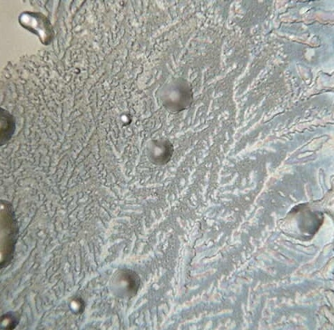 foto van natuurlijk gezond berg water uit de natuur