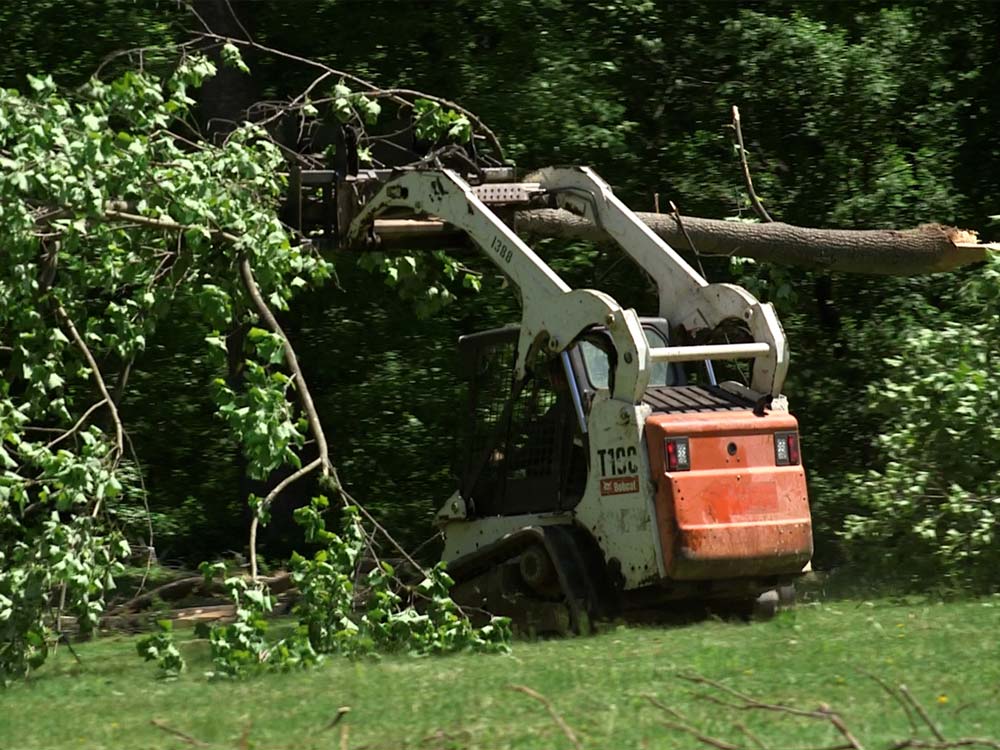 A bobcat with a grapple attachment removes a fallen tree to clear land on a property in Woodbine, MD.