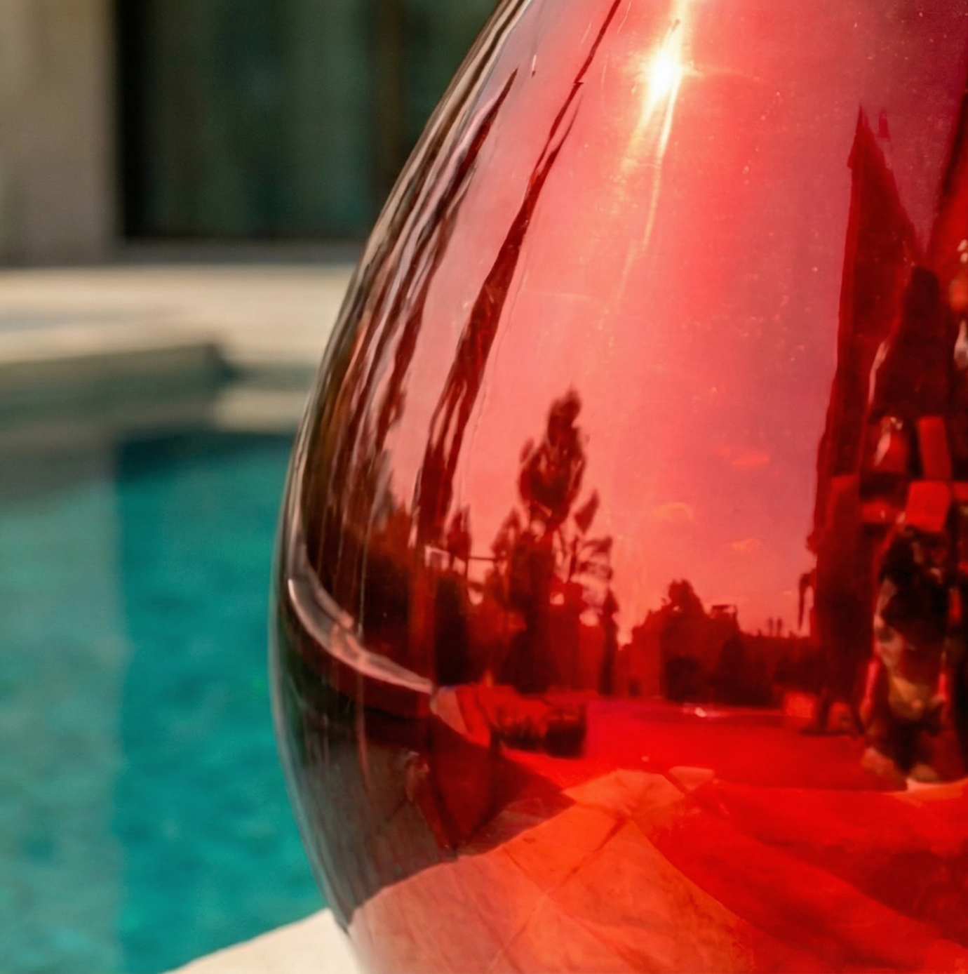 Polar Friends — Pafo, Cipro