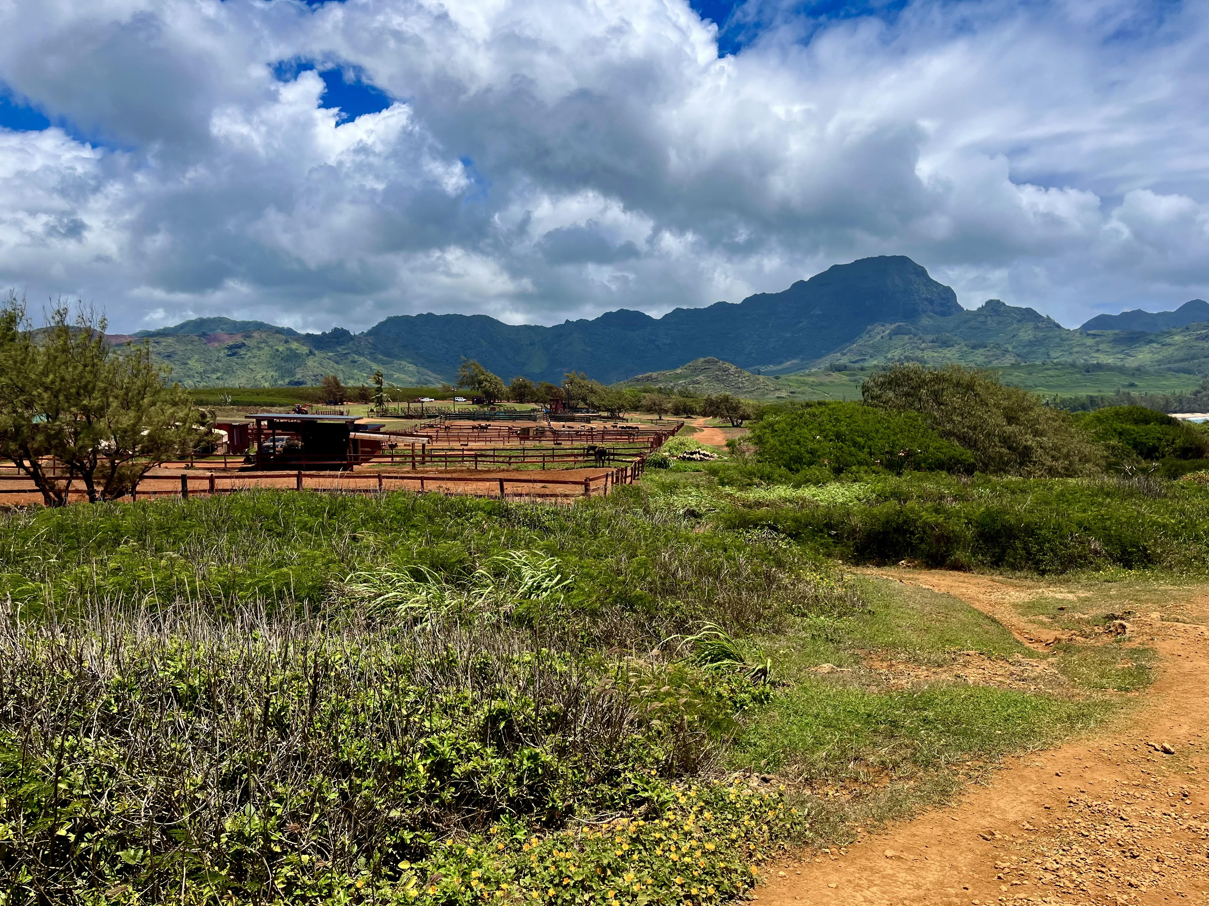 Why Private Custom Kauai Tours Feel Less Rushed