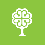 Arbres publics de Montréal