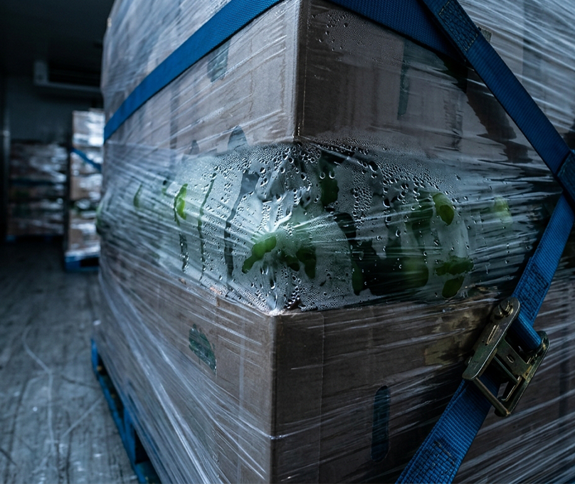 Pulp Temperature vs. Reefer Set Point: They Are Not the Same Thing