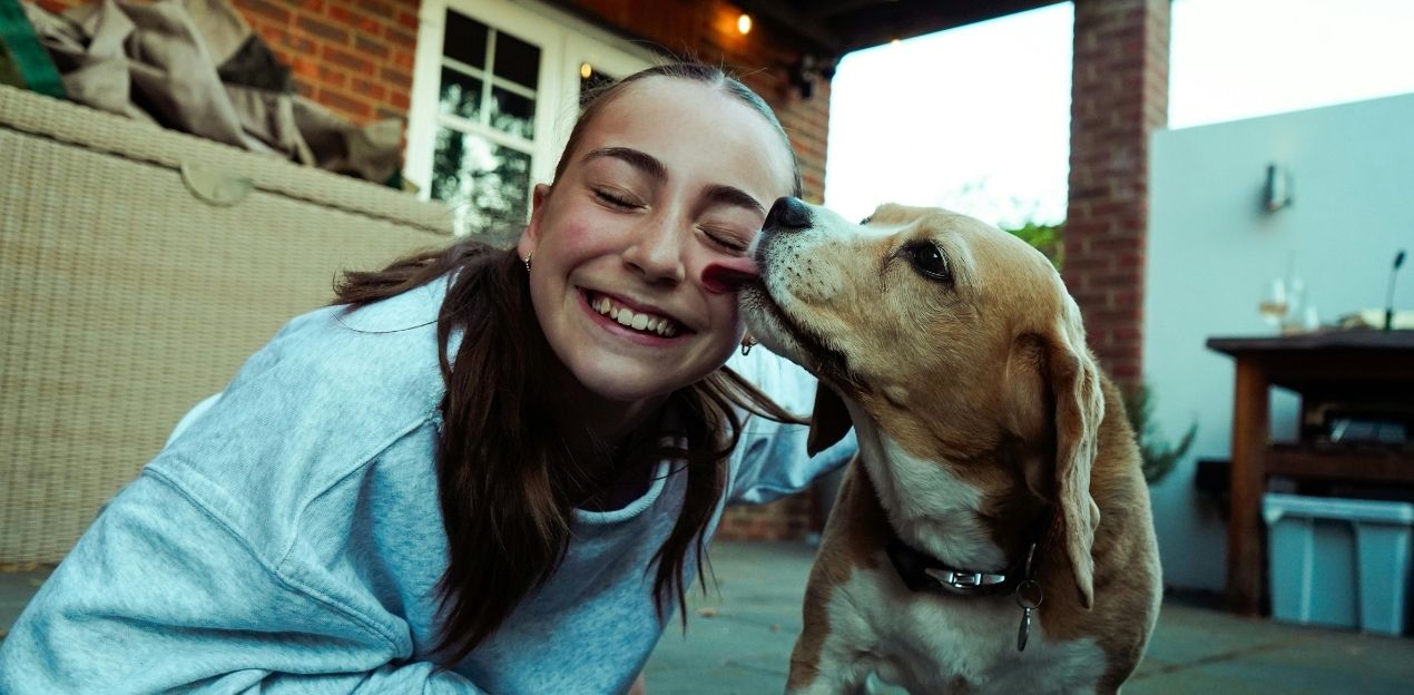 Dog licking its owner