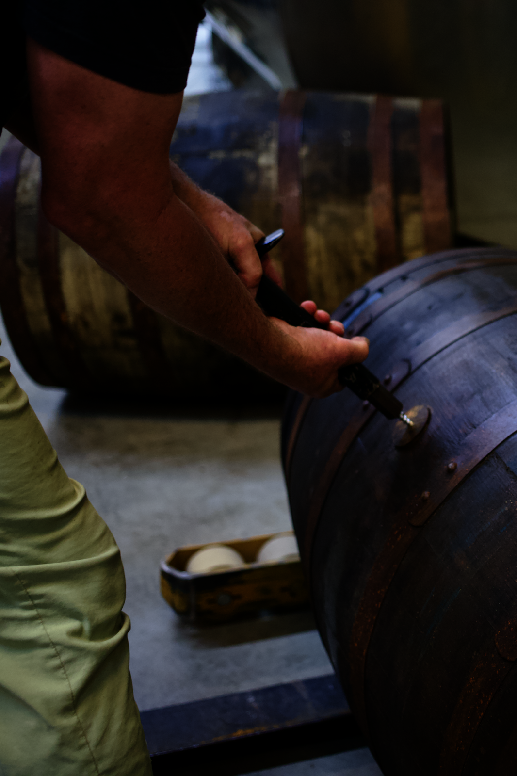 A distiller carefully inspecting a single barrel of aging bourbon, checking its unique development