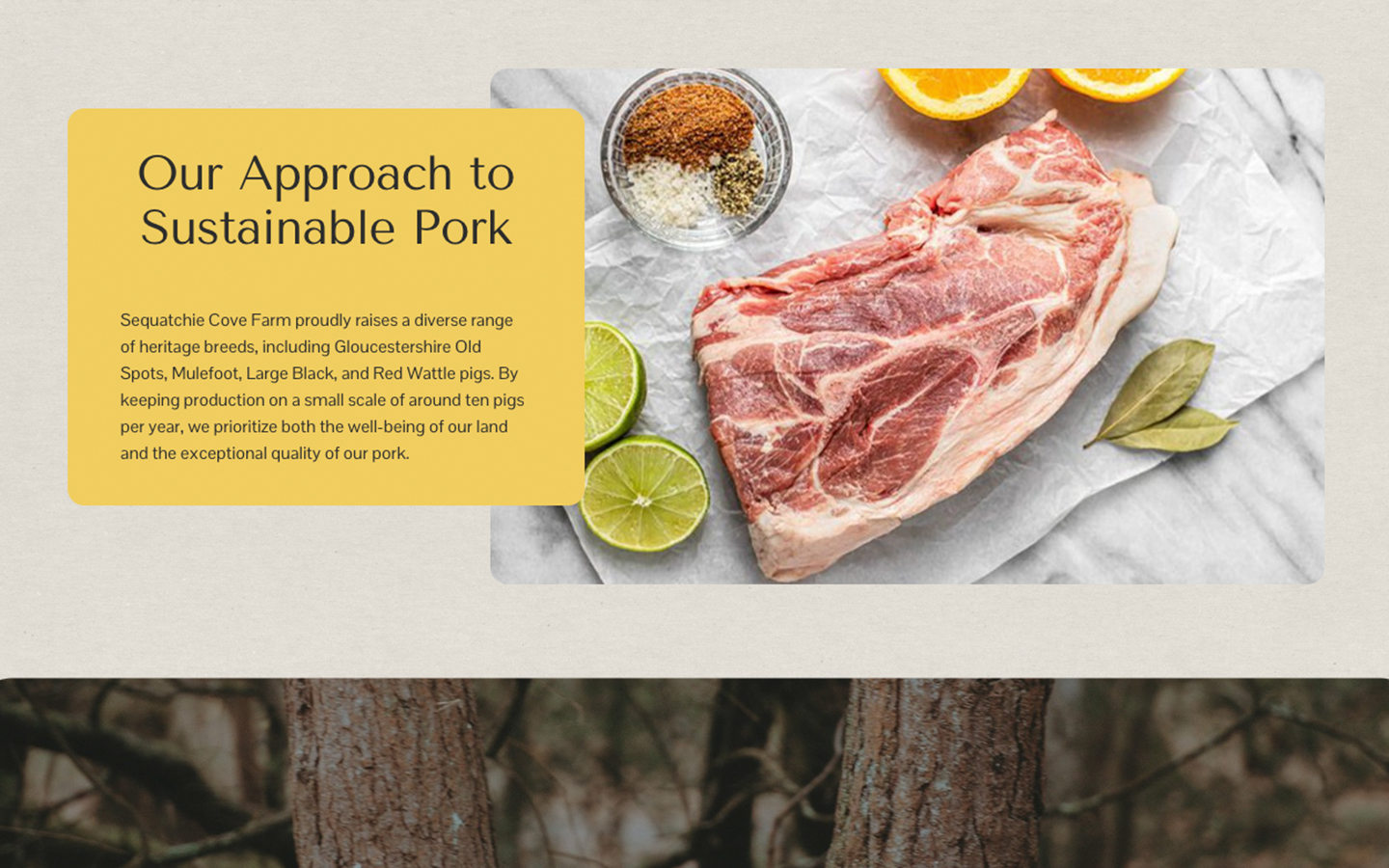 a mockup of a section of the sustainable pork on sequatchie cove farm's website
