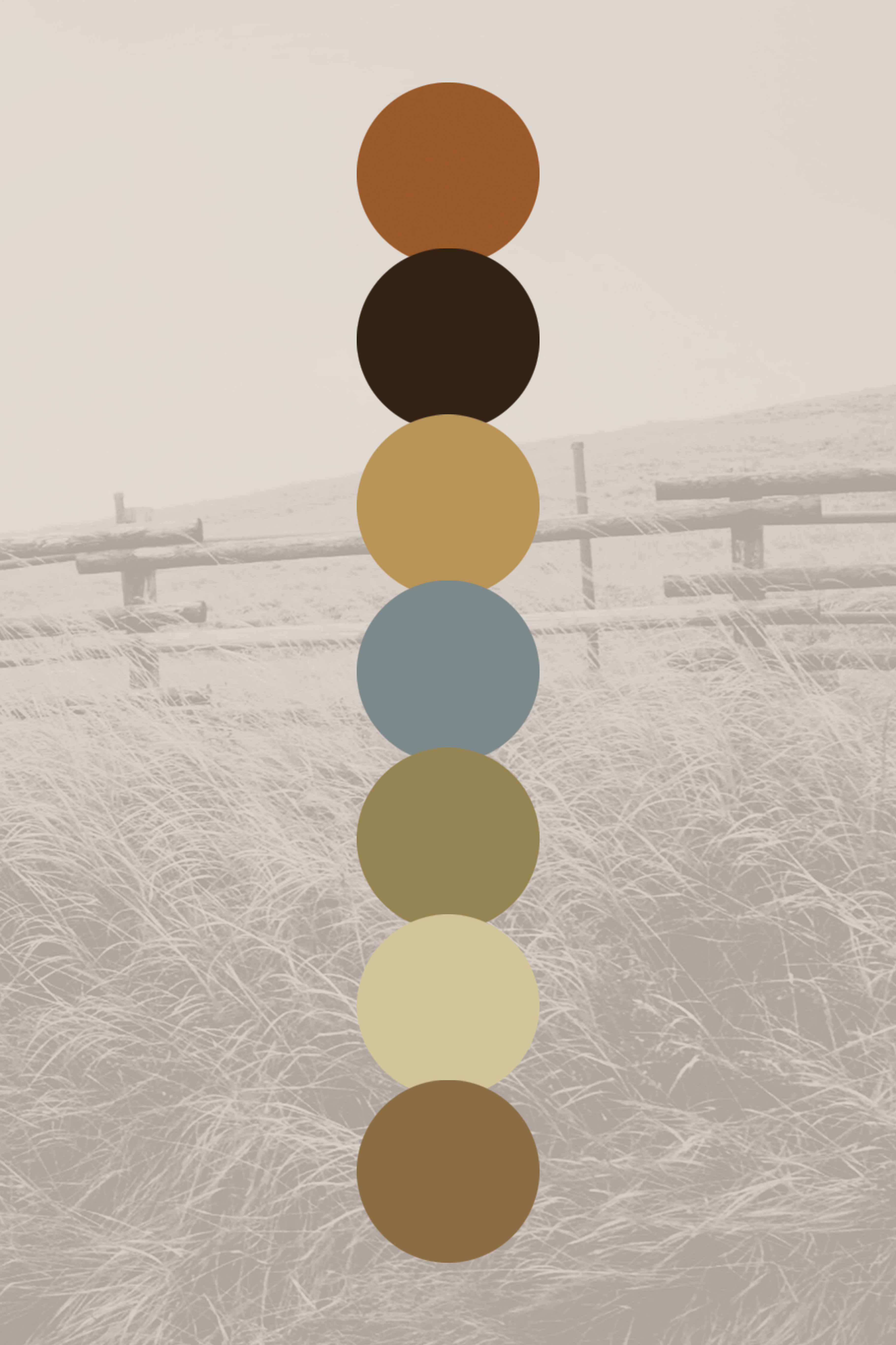 a color palette for never satisfied wildlife ranch