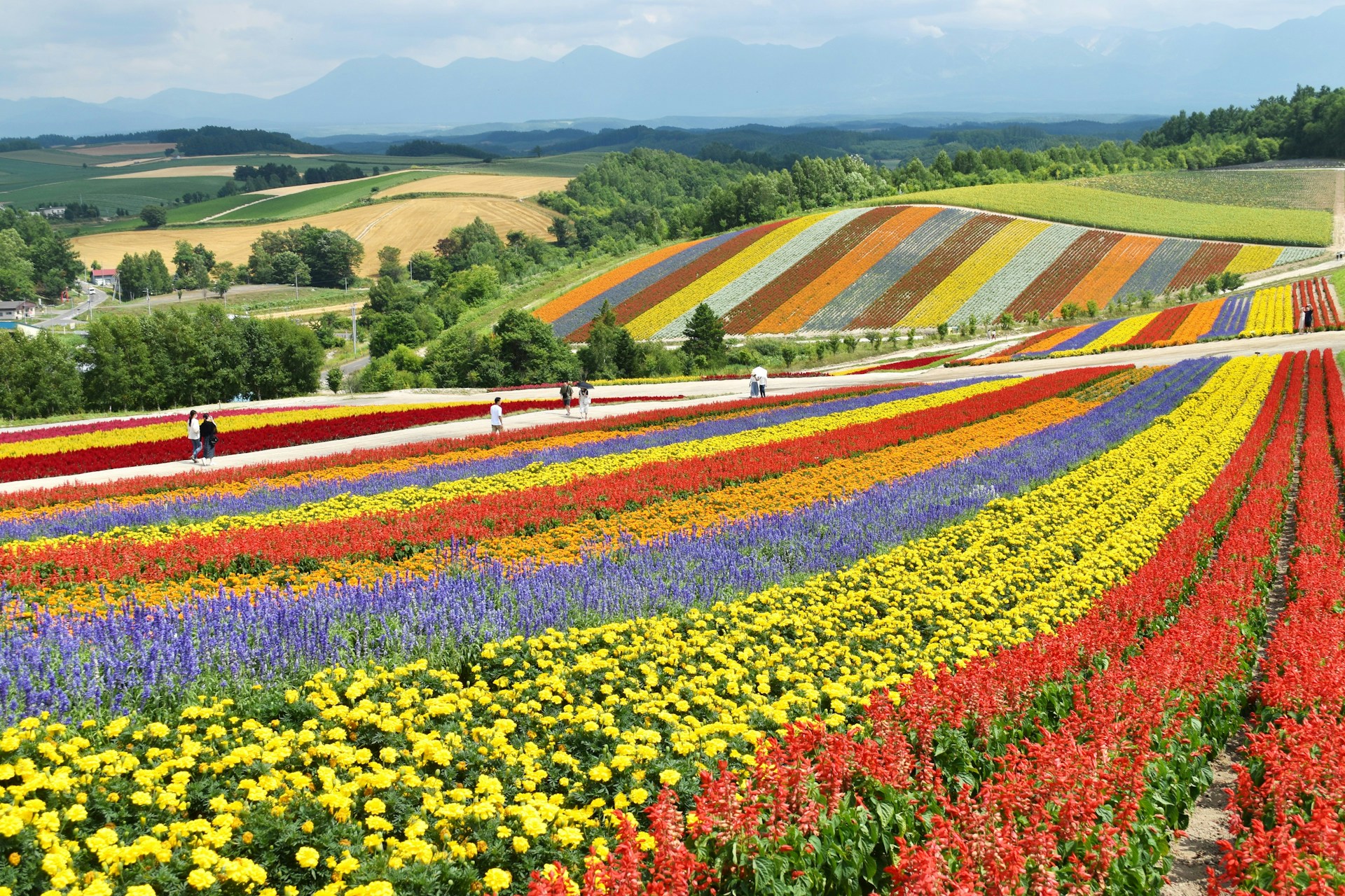 Hokkaido region akiya banks on Old Houses Japan