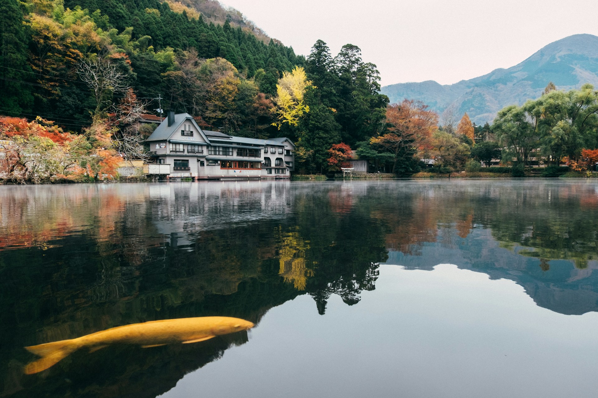 Kyushu region akiya banks on Old Houses Japan
