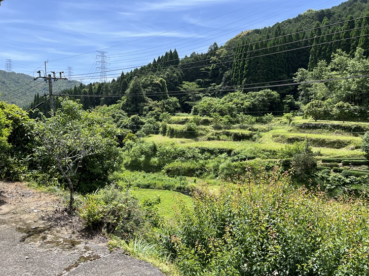 A rural Japanese landscape showing terraced hillsides with lush green vegetation, power lines crossing overhead, and mountains in the background under a blue sky.