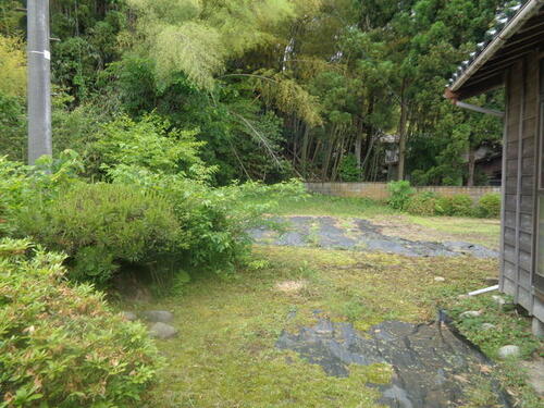 Outdoor Space with Garden Potential – A small yard or garden space with greenery and renovation possibilities.