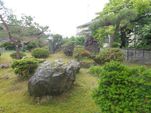 Outdoor Space with Garden Potential – A small yard or garden space with greenery and renovation possibilities.