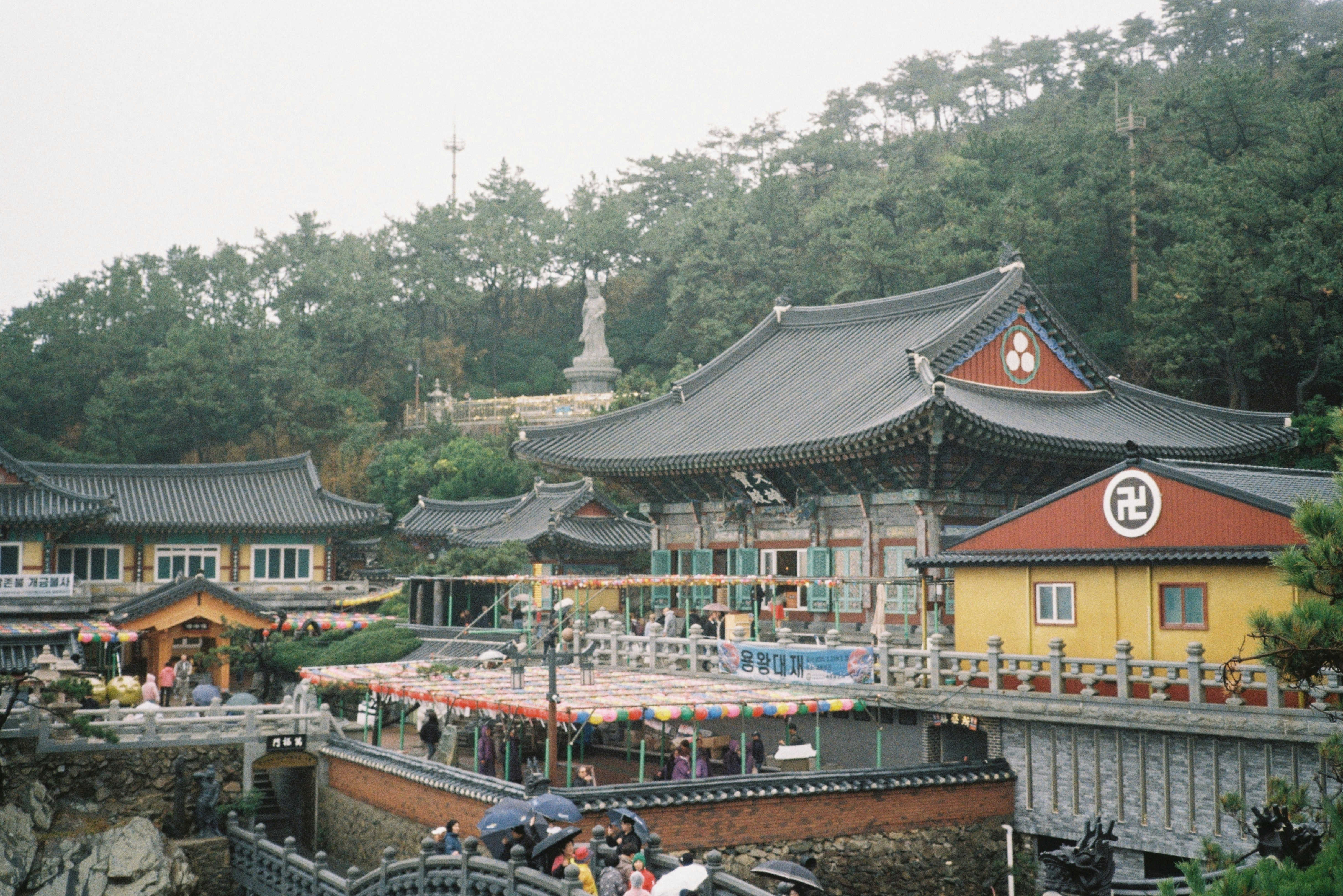 Rural Life in Shikoku: Is It Right for You?