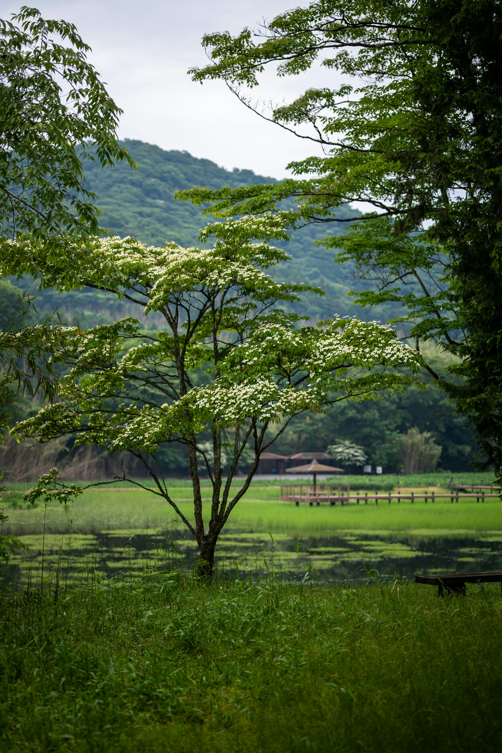 Remote Islands With Affordable Real Estate in Japan